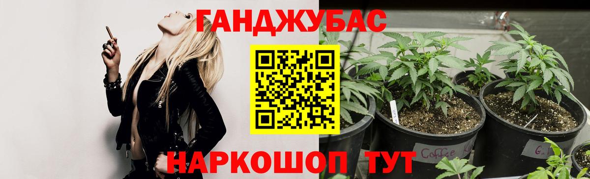 Бошки Шишки марихуана  Марихуана конопля  Вход с VPN  Медногорск  МАРИХУАНА Amnesia 