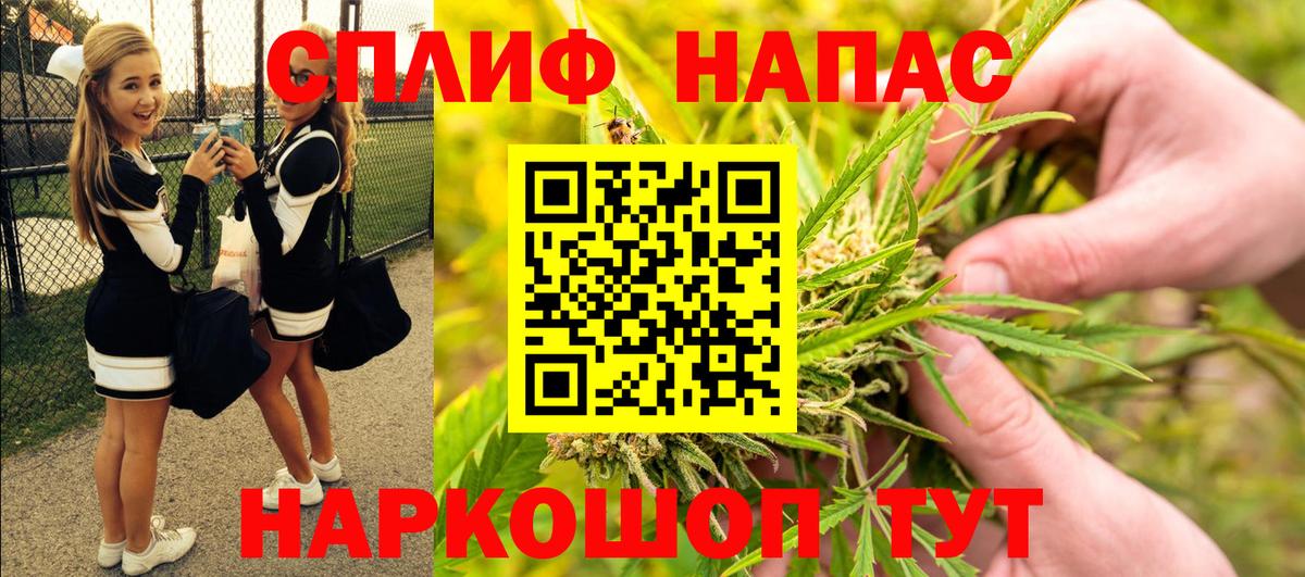 Конопля SATIVA & INDICA Медногорск